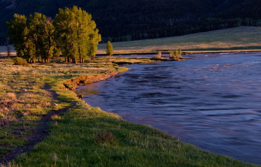 1r20060528_Yellowstone_Tetons_DHF_1804