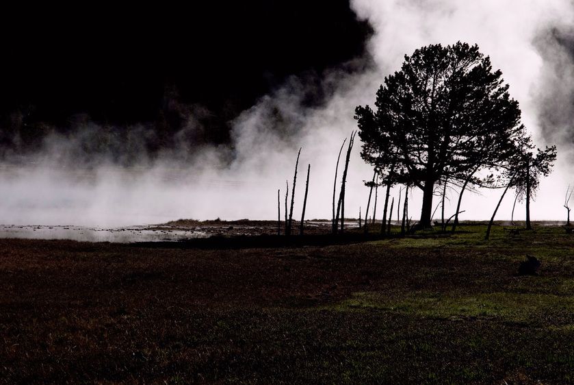 1r20060528_Yellowstone_Tetons_DHF_1369_2