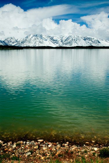 1r20060528_Yellowstone_Tetons_DHF_8908
