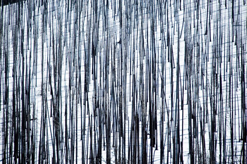 1r20080517_Summit_Workshop_Wyoming_DHF_37226