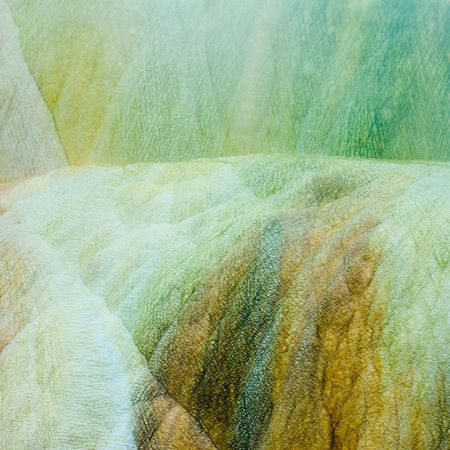 1r20060528_Yellowstone_Tetons_DHF_0686_2