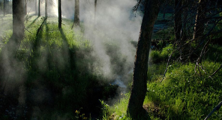 1r20060528_Yellowstone_Tetons_DHF_1235