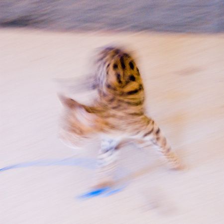 1r20060923_Santa_Fe_Massey_DHF_20061291