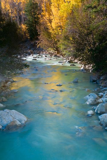 1r20080927_Aspen_Autumn_DHF_39151