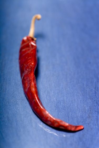 1r20070524_Stock_Food_Studio_DHF_0089