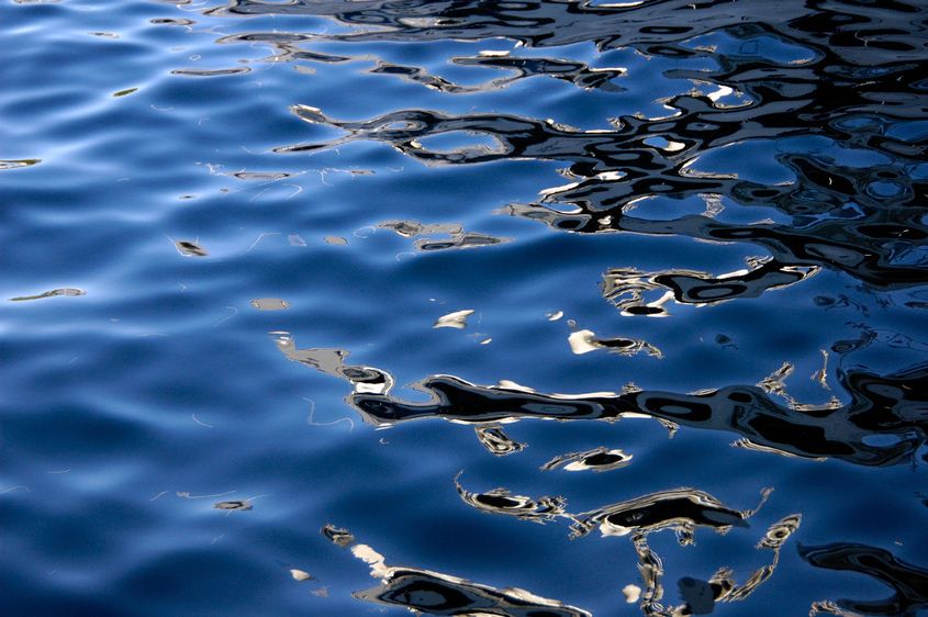 1r20050826_Europe_Italy_France_DHF_1067