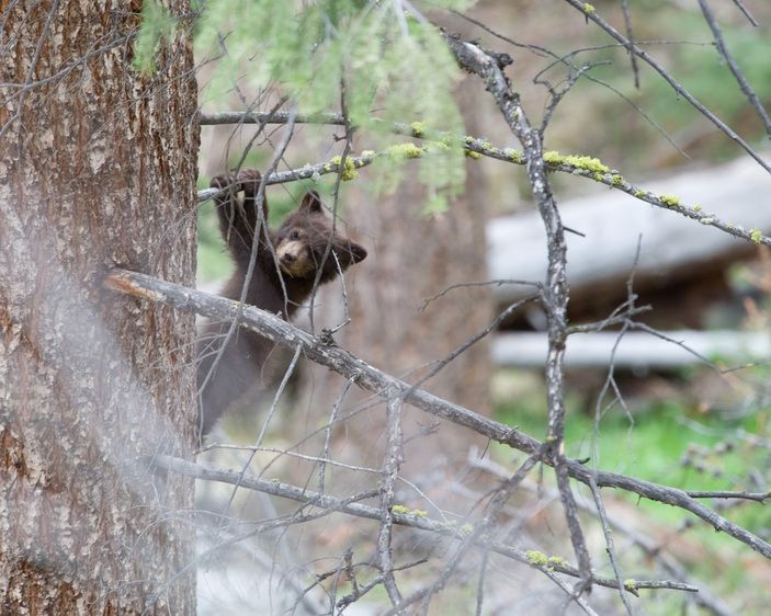 1r20080517_Summit_Workshop_Wyoming_DHF_30882