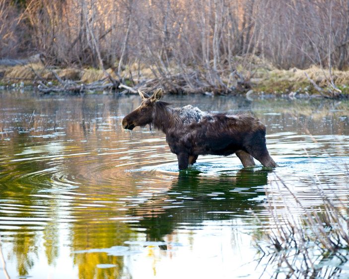 1r20080517_Summit_Workshop_Wyoming_DHF_36864