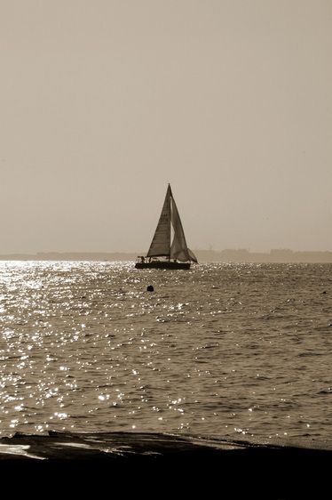 1r20050826_Europe_Italy_France_DHF_1247