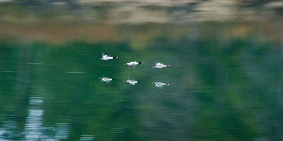 1r20080517_Summit_Workshop_Wyoming_DHF_39500