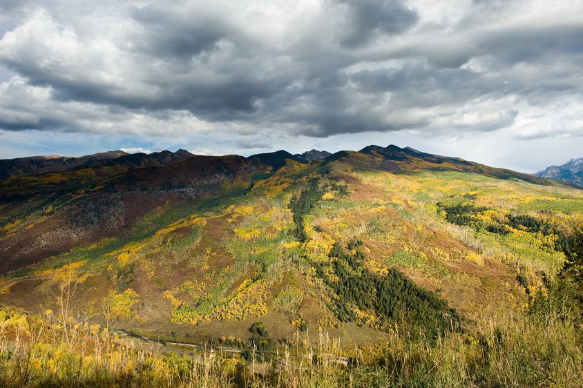 1r20080927_Aspen_Autumn_DHF_38988