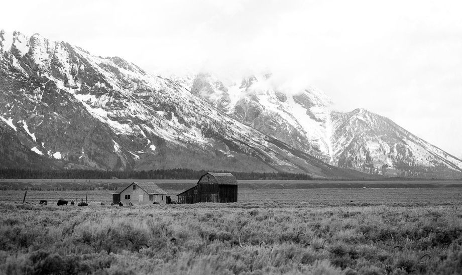 1r20060528_Yellowstone_Tetons_DHF_8438