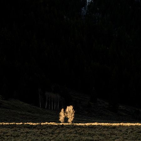 1r20080517_Summit_Workshop_Wyoming_DHF_36875