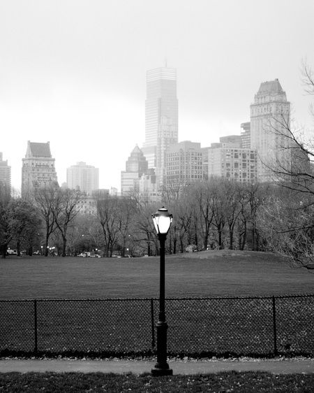 1r20061118_New_York_City_DHF_8943