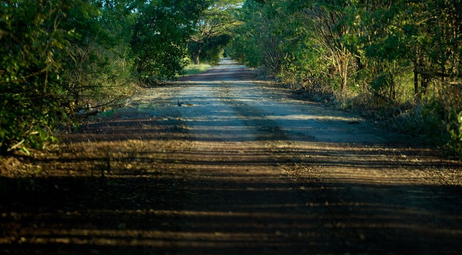 1r20071213_Costa_Rica_DHF_31894