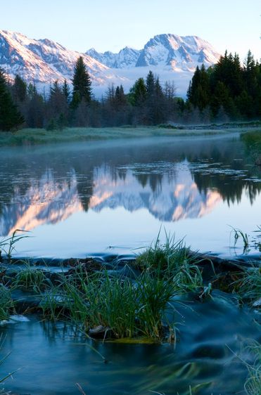 1r20060528_Yellowstone_Tetons_DHF_8706