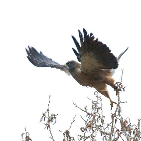 1r20080517_Summit_Workshop_Wyoming_DHF_2_12