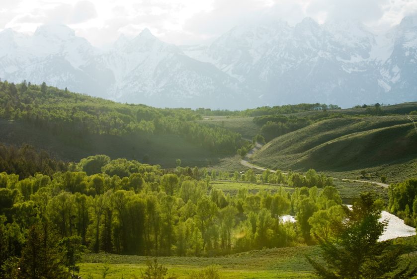 1r20060528_Yellowstone_Tetons_DHF_8589
