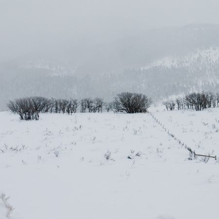 1r20071230_Sand_Dunes_DHF_7194