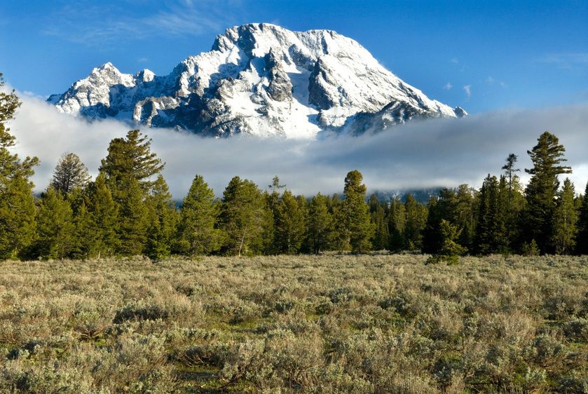 1r20060528_Yellowstone_Tetons_DHF_8788