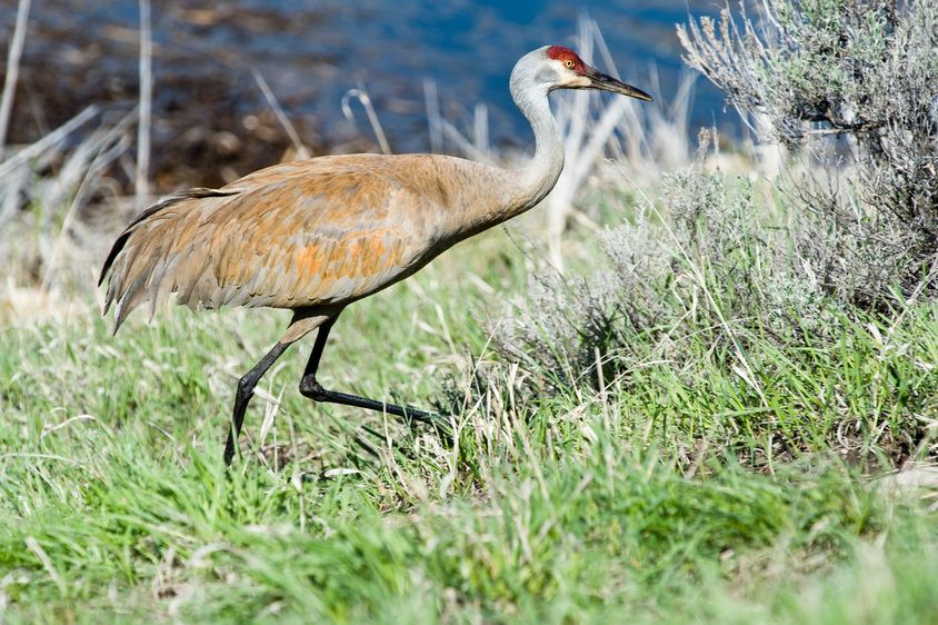 1r20080517_Summit_Workshop_Wyoming_DHF_31668