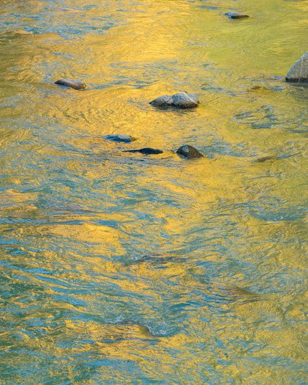 1r20080927_Aspen_Autumn_DHF_39167