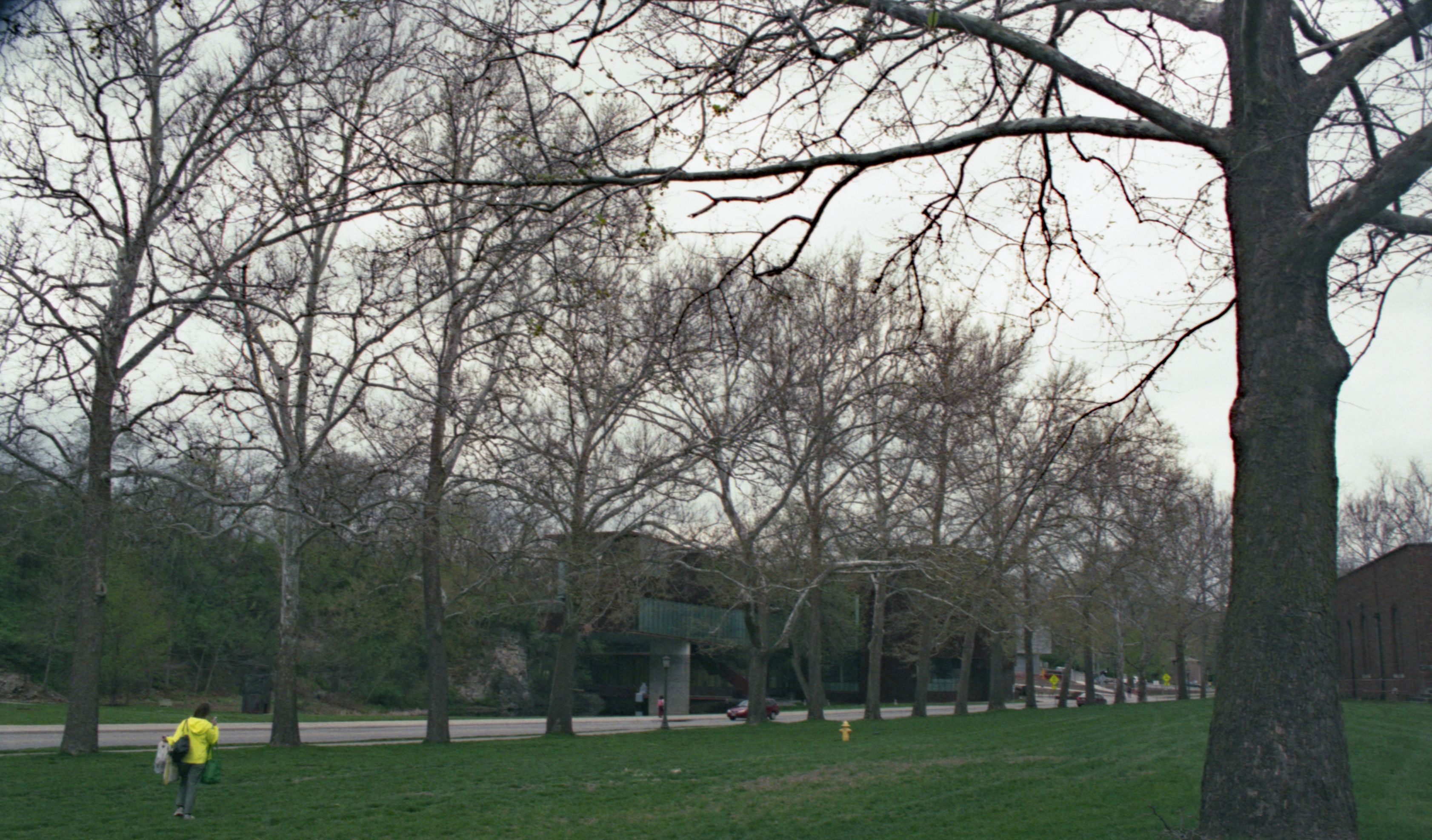 Near the Old School of Art Building, Campus of the Univeristy of Iowa, Iowa City (2015) Plate 25