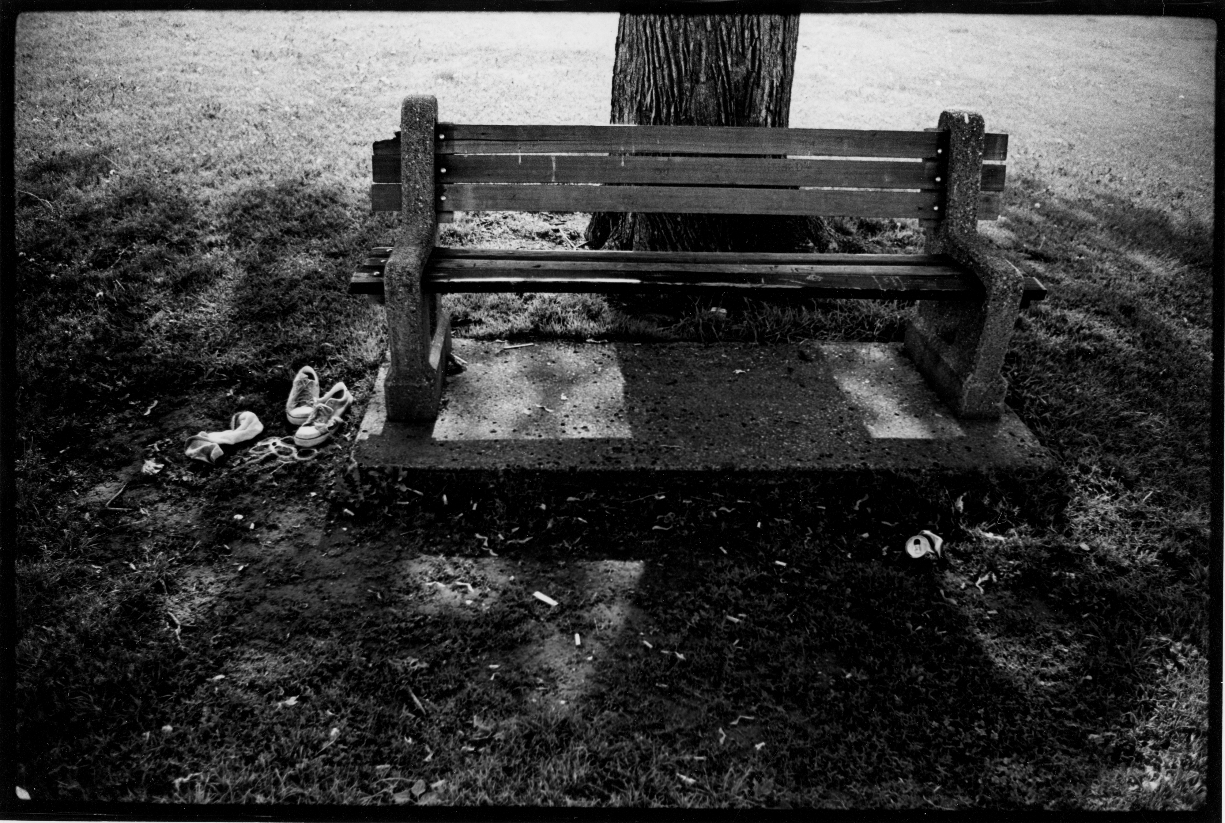 Loring Park (1981) Plate 17