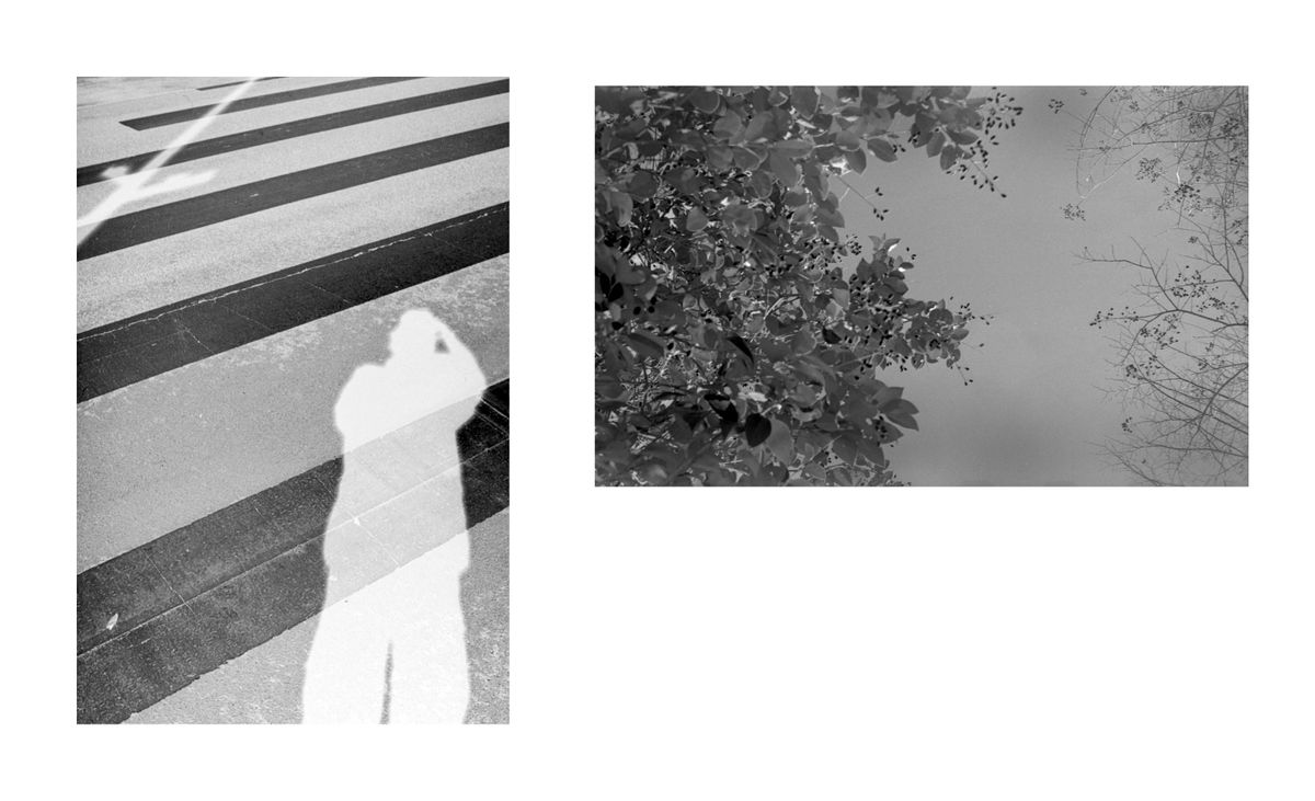 Down 018 polarized and edited w brdr Diptych 1.jpg