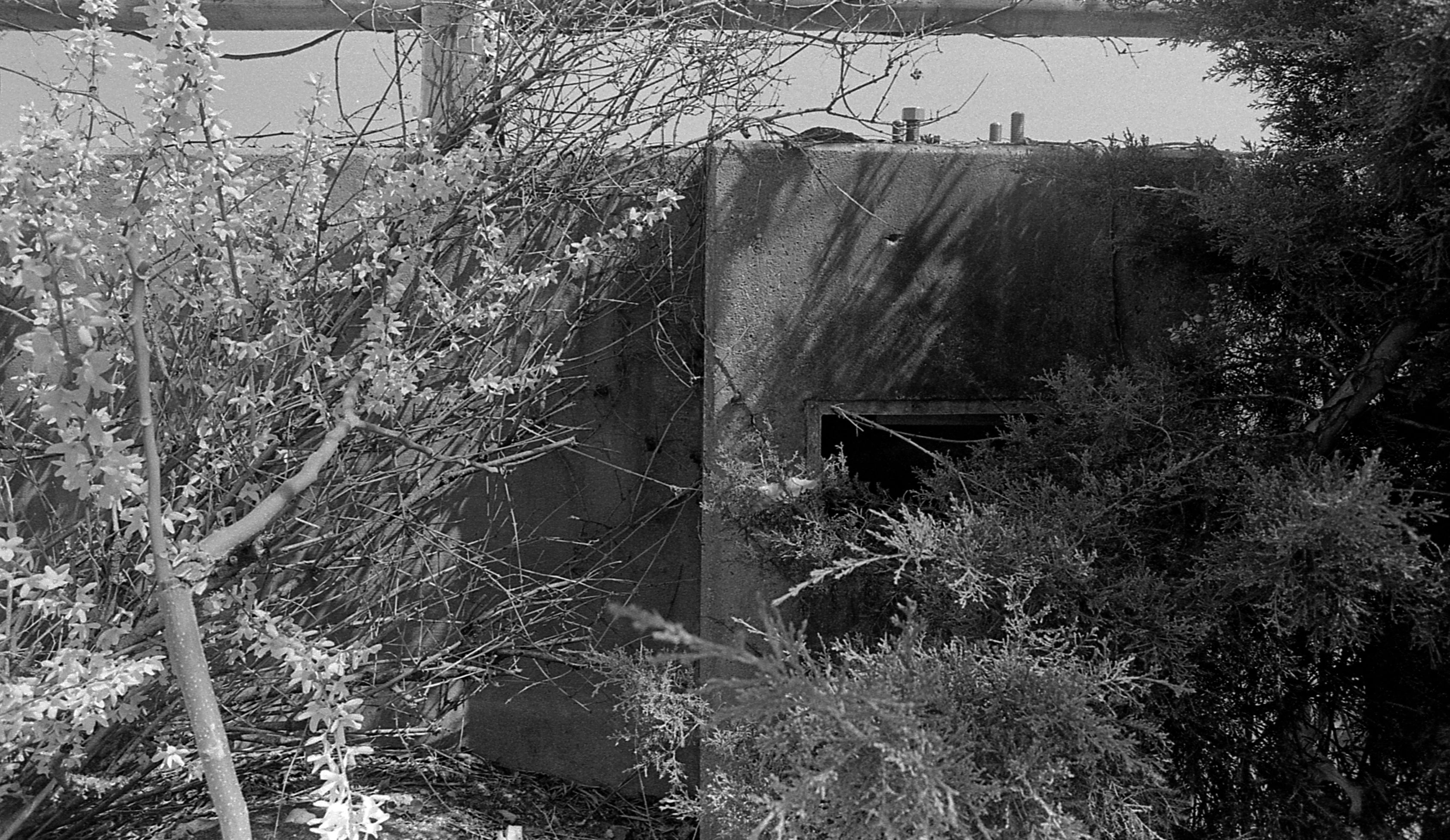 untitled (freeway barrier) (2021) Plate 10