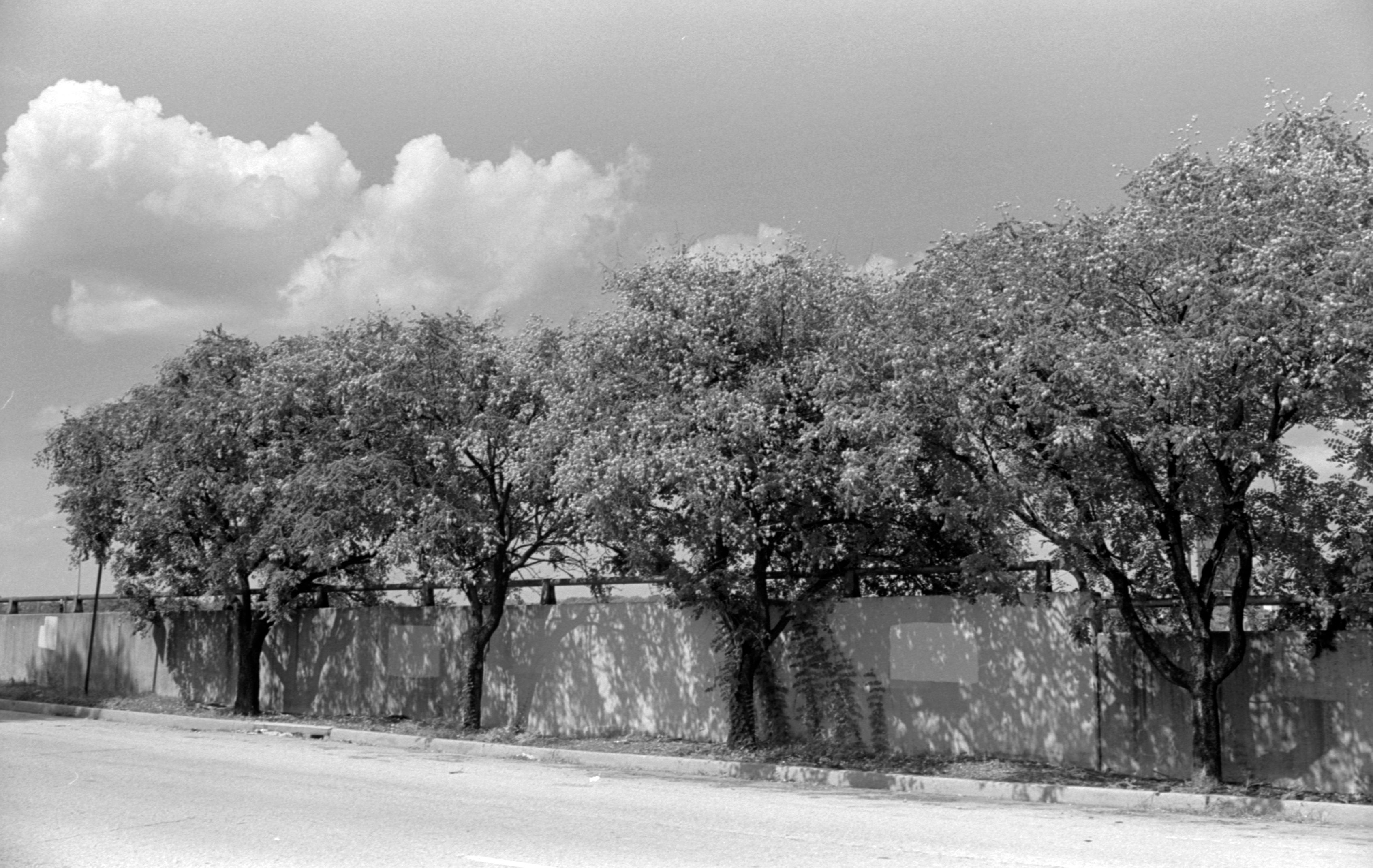 Untitled (freeway barrier, number three) (2021) Plate 12