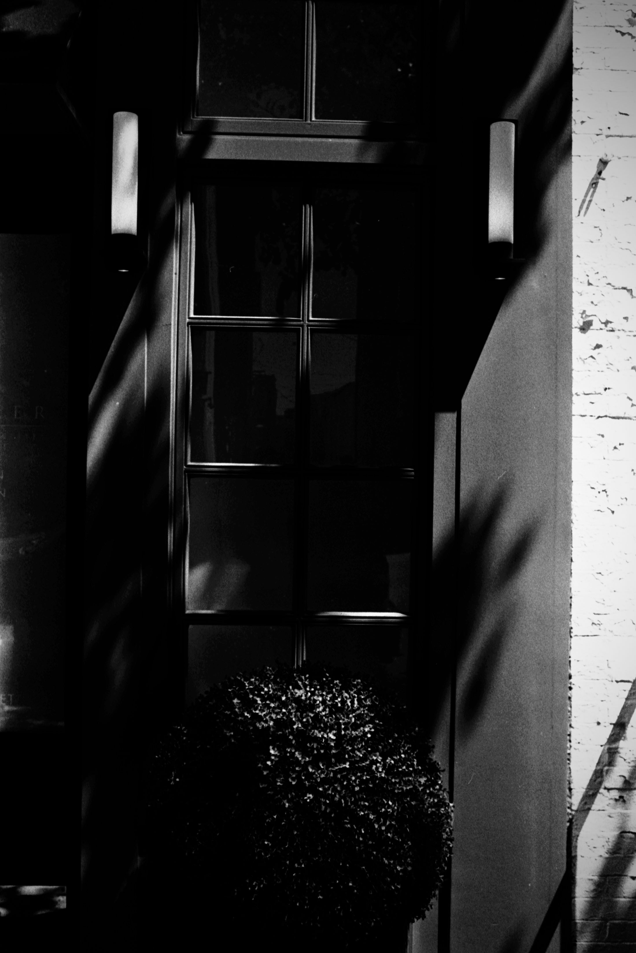 NO DESTINATION IN MIND series, 2022 Plate 12