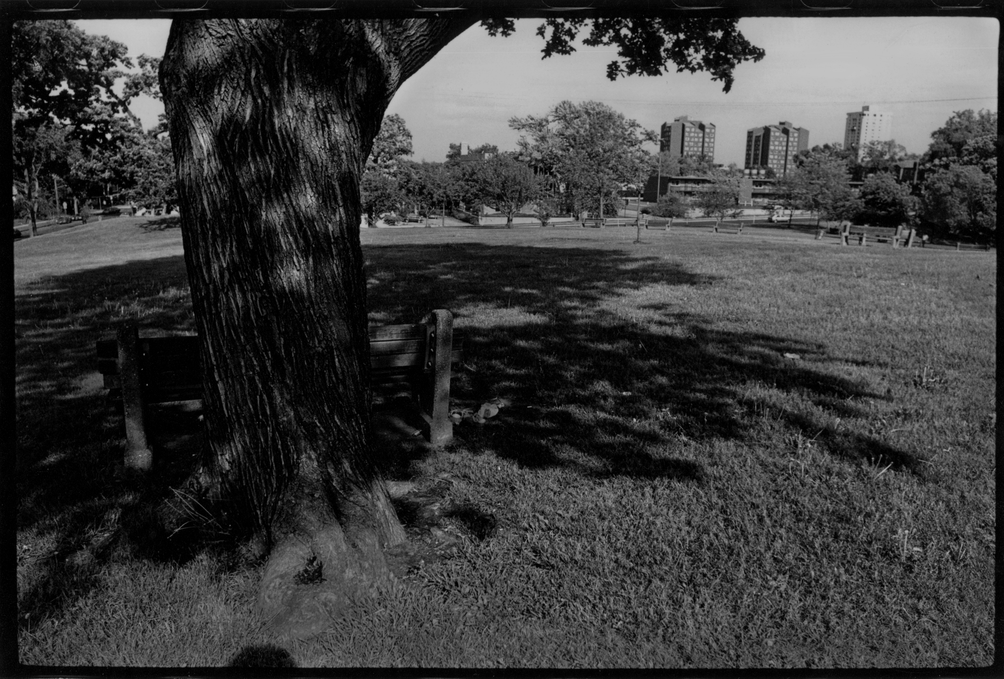 Loring Park, Minneapolis (1980) Plate 19