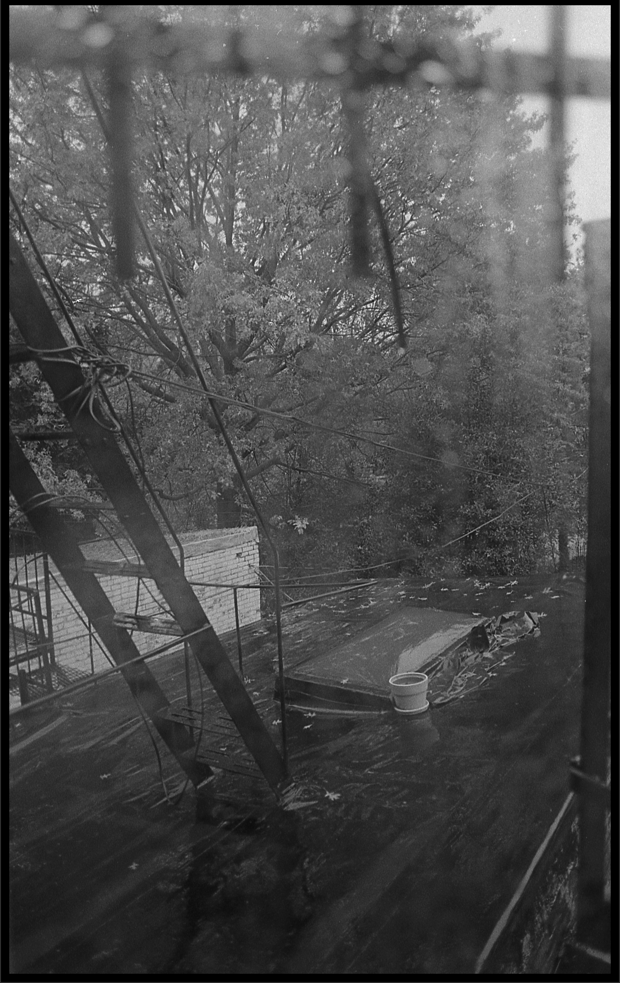 Bedroom Window, Baltimore (2020)   Plate 13