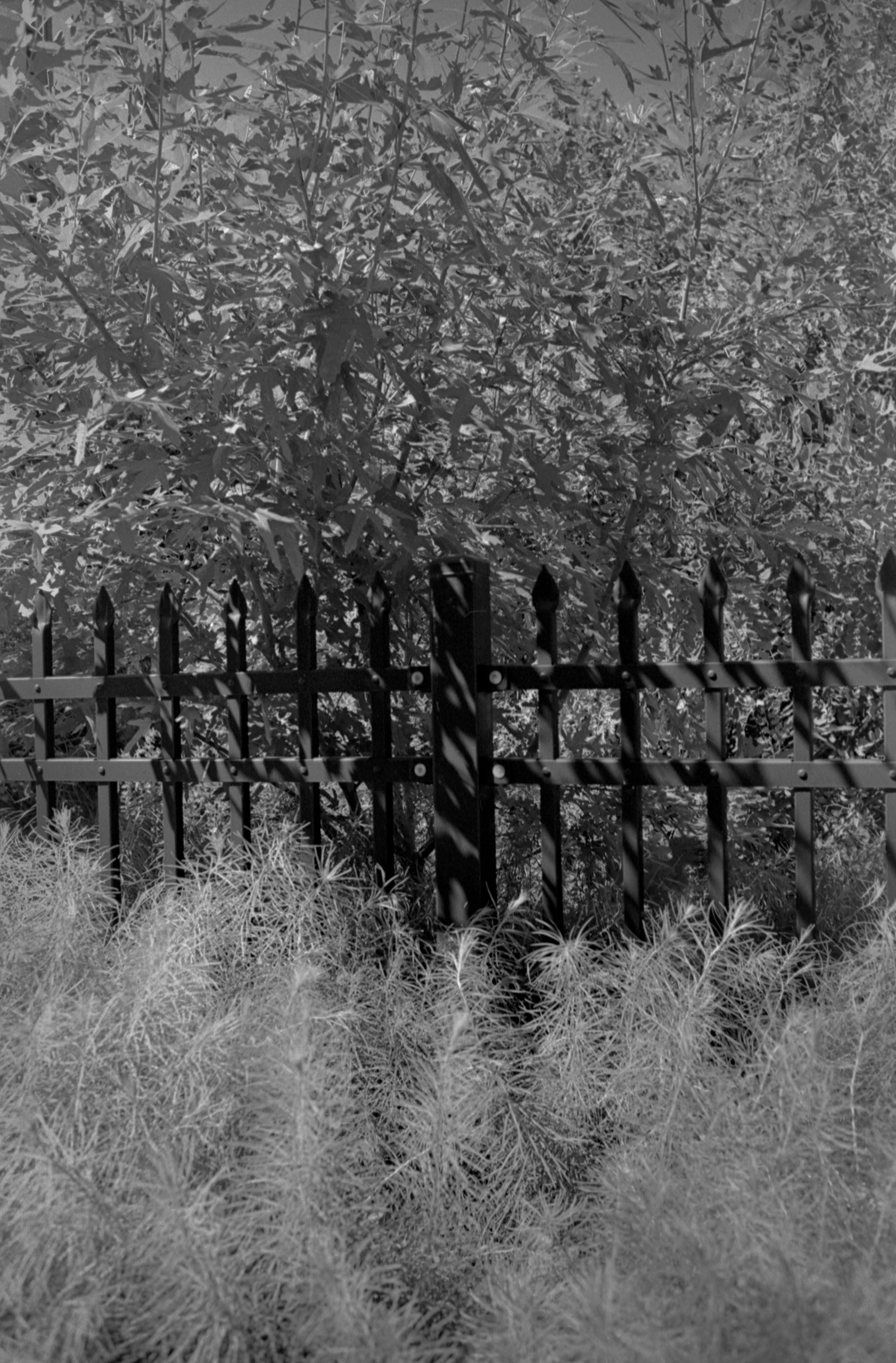 NO DESTINATION IN MIND series, 2022 Plate 11
