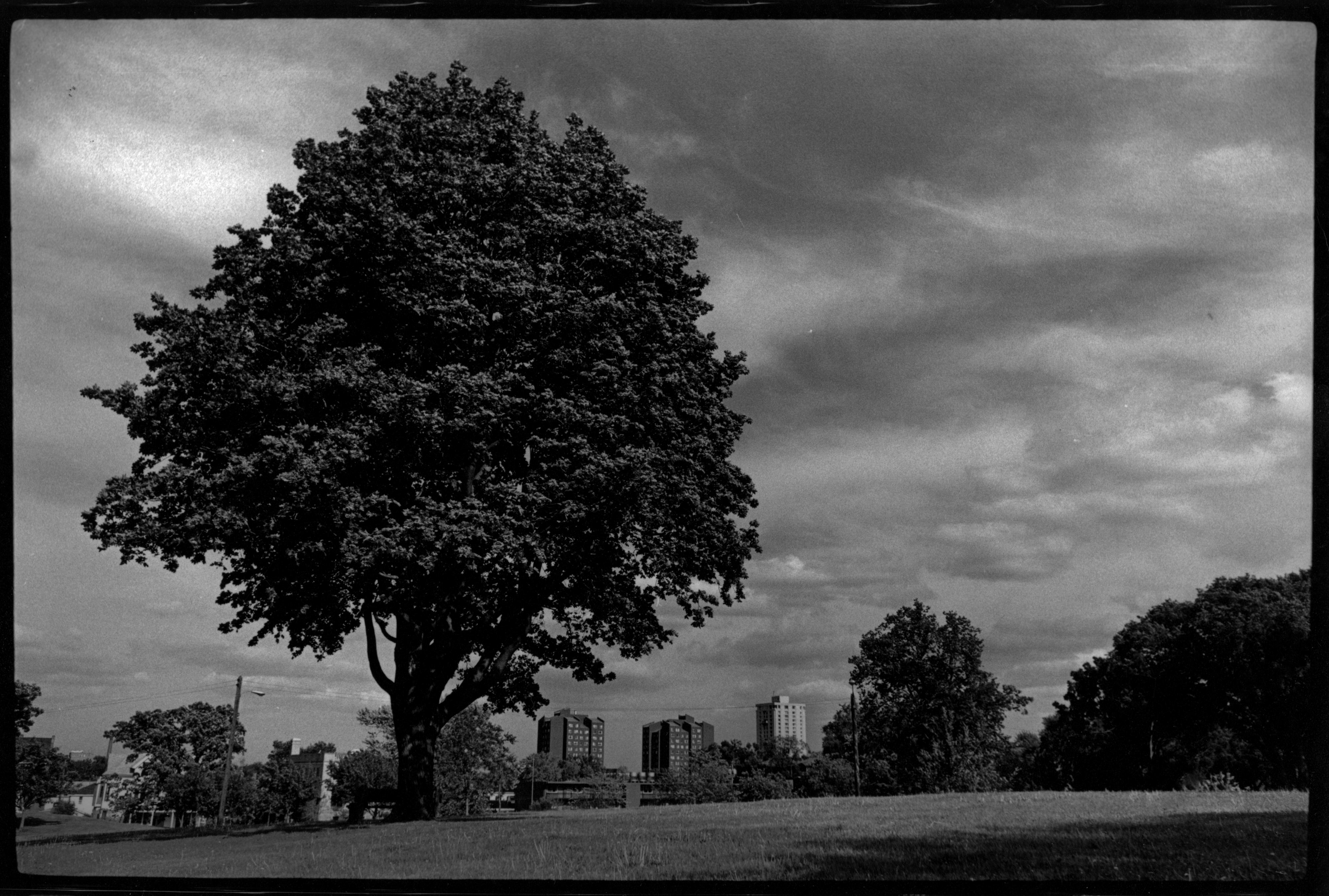 Near Loring Park, Minneapolis (1980) Plate 18