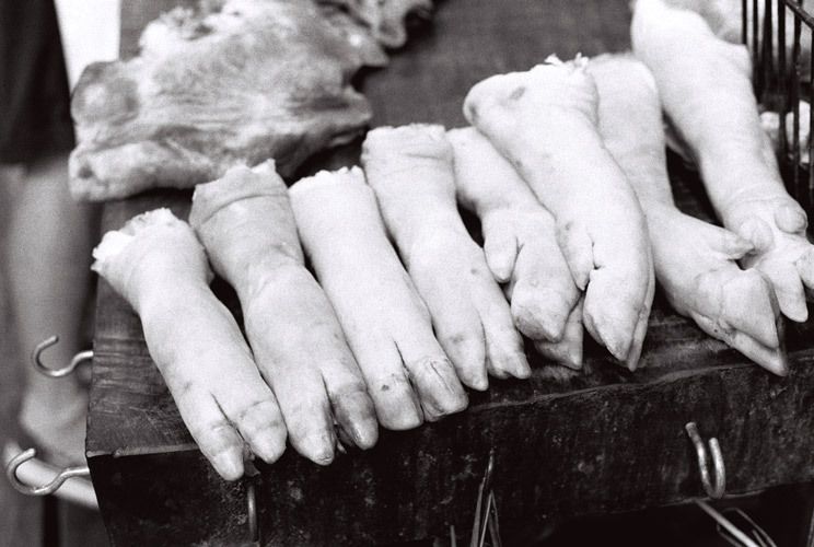 Pigs feet