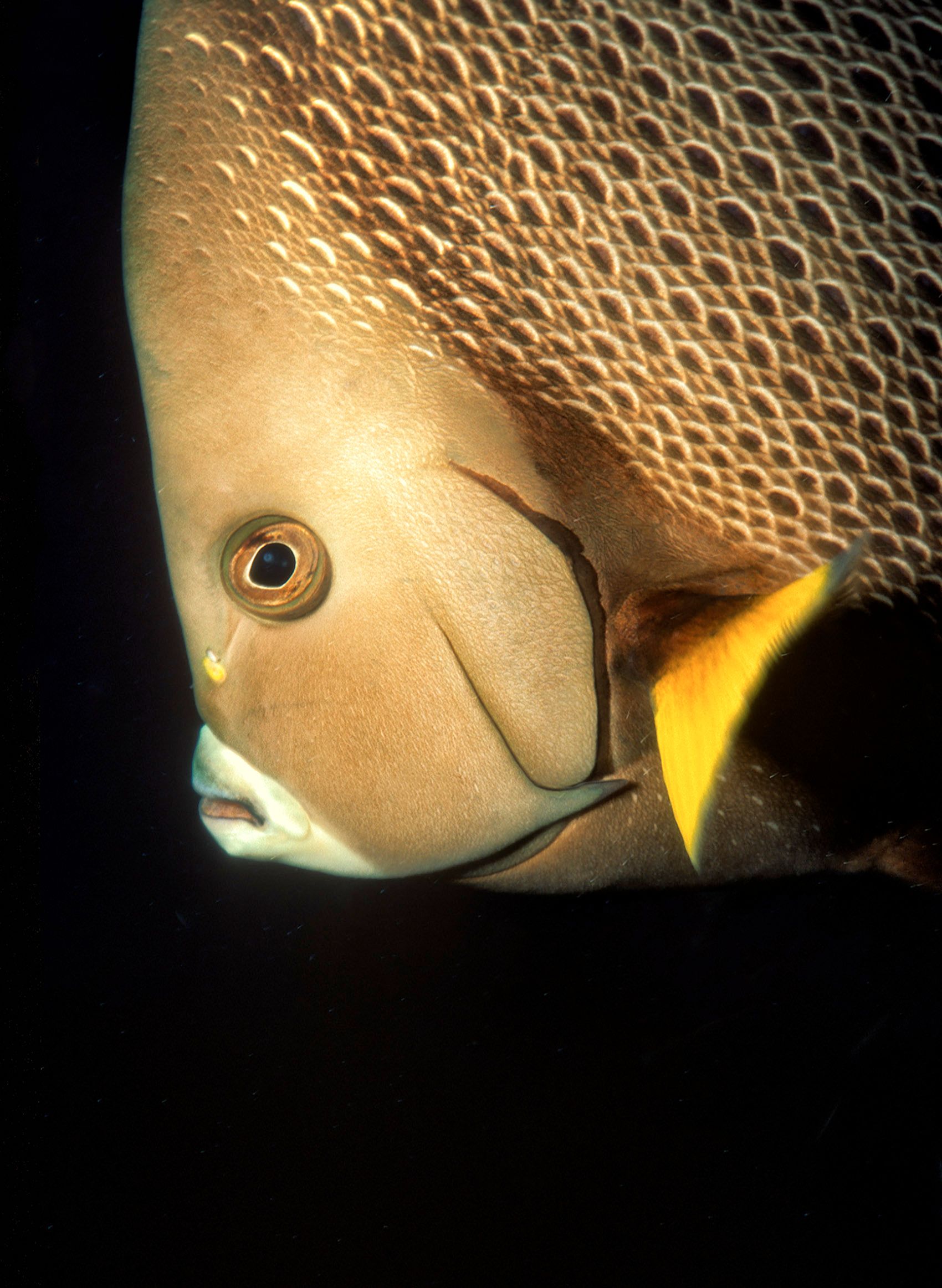 Marine Life 0445.jpg