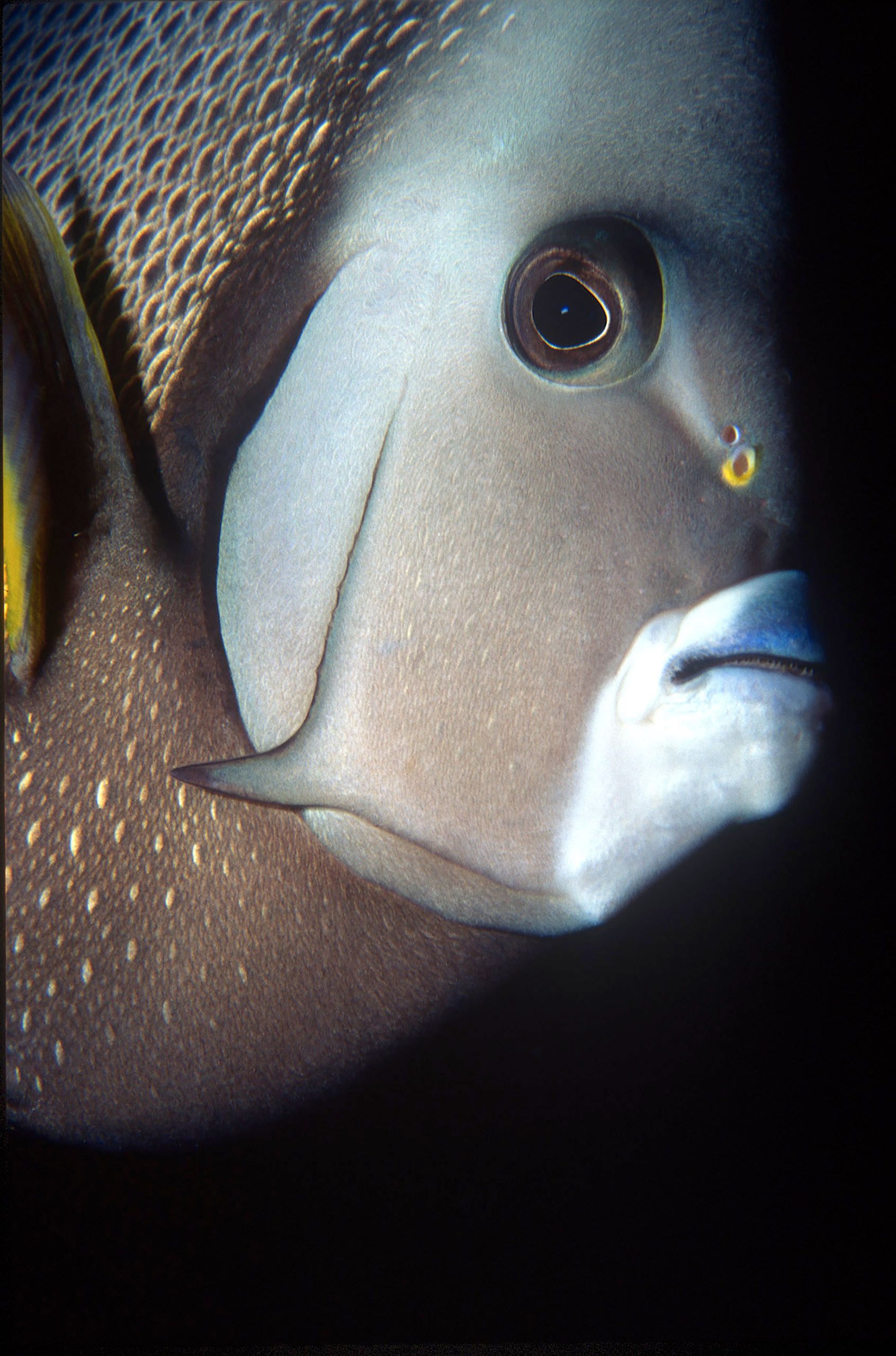 Marine Life 0253.jpg