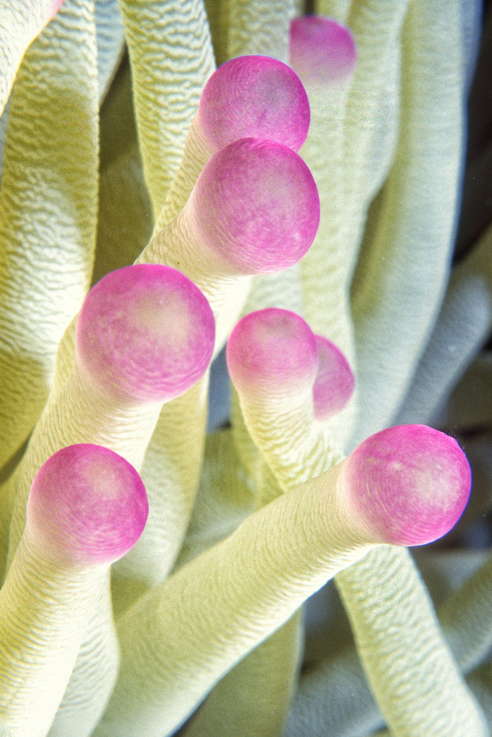 Marine Life 0169.jpg