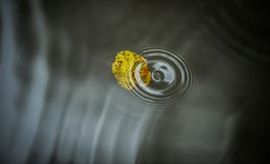 KT_140901_untitled_untitled shoot_1435.jpg