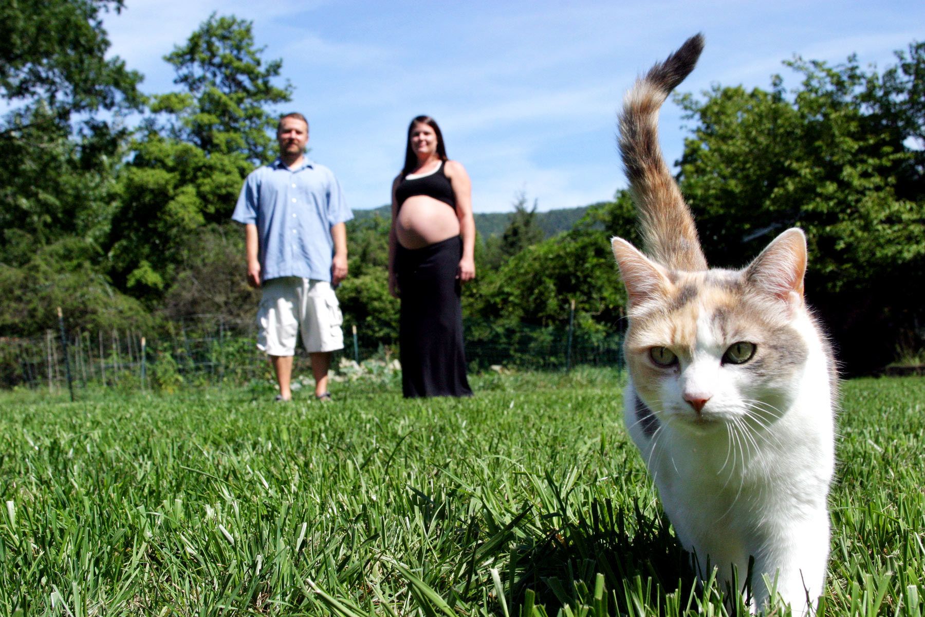 I hope it doesn't take my place!