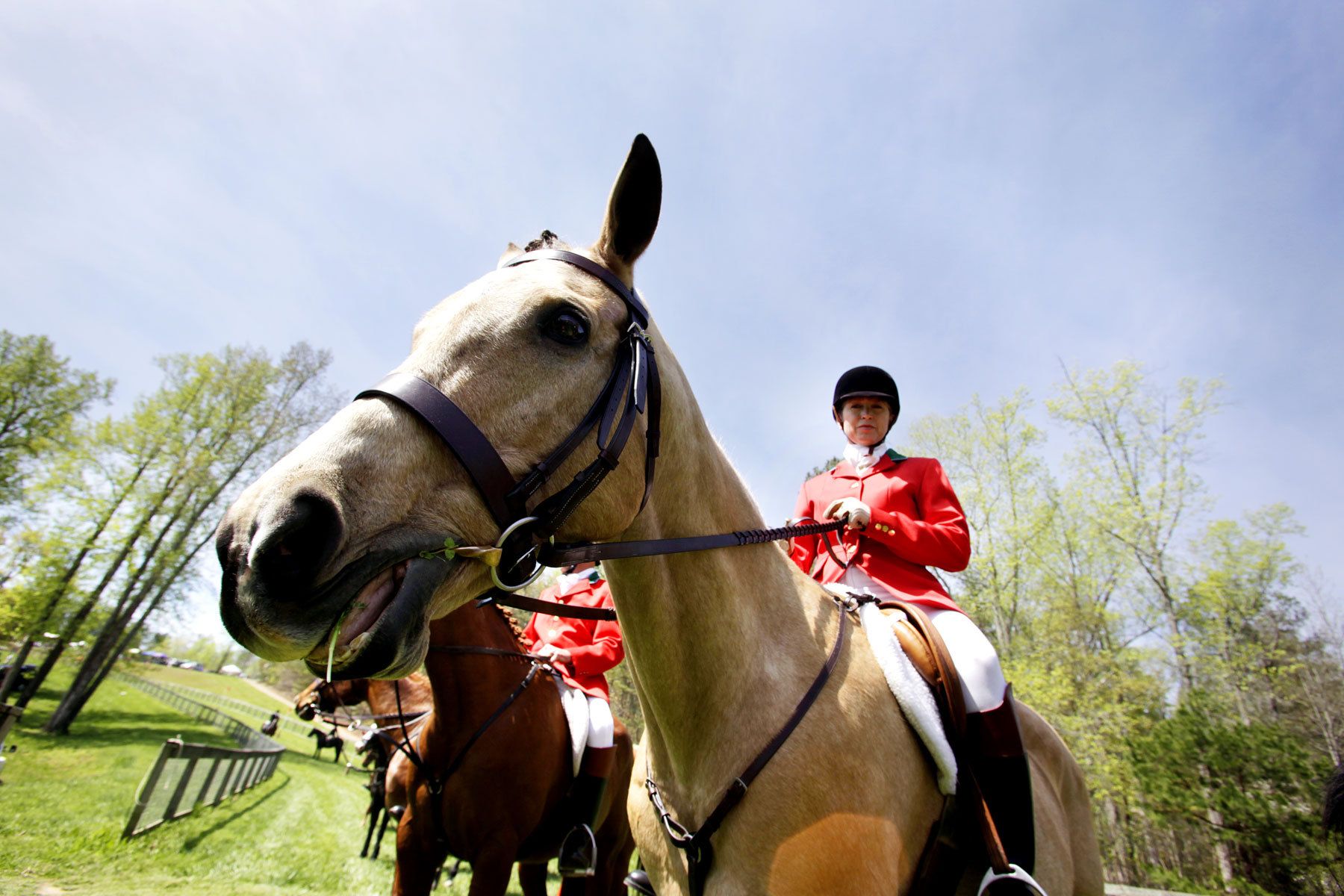 Hounds and Horses for WNC Magazine