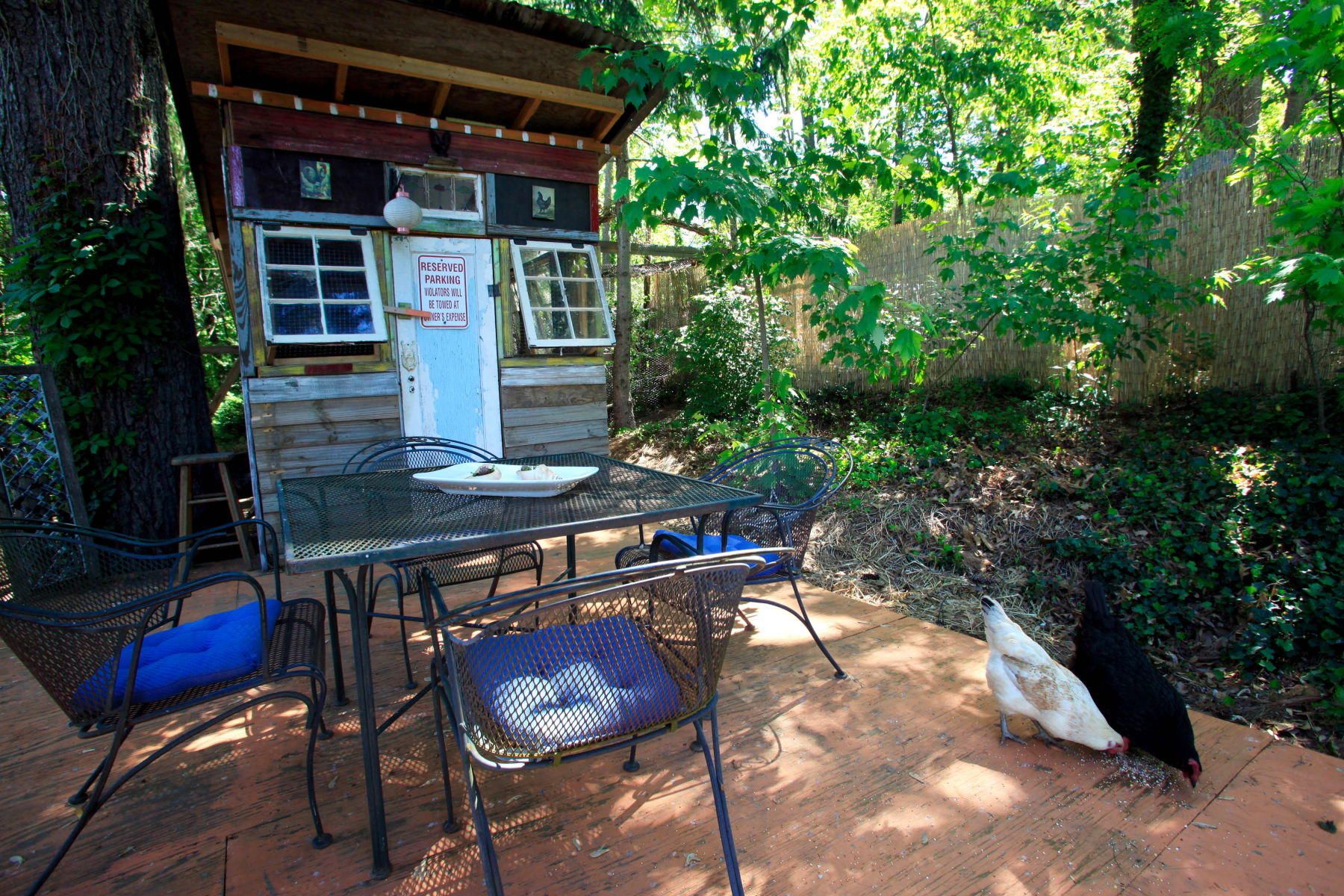 1wyg___asheville2434web