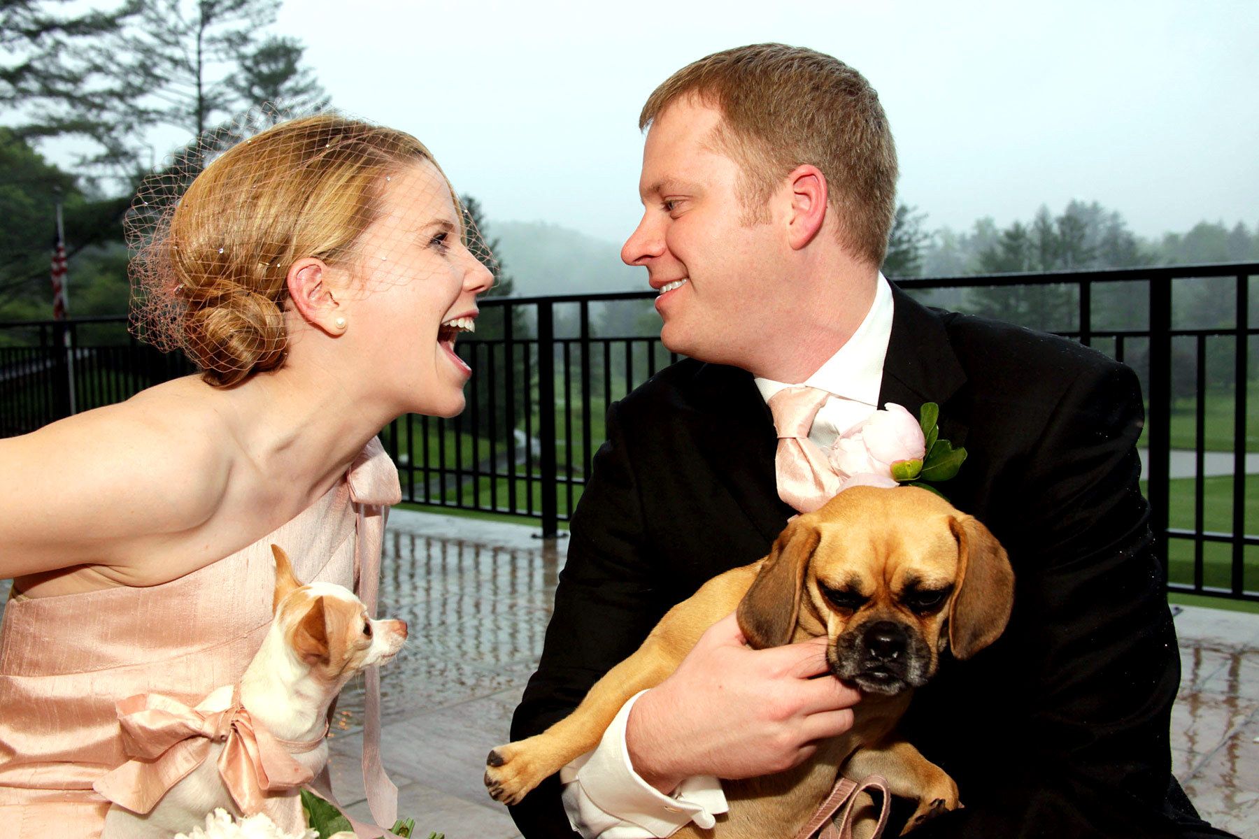 Wedding, Banner Elk NC