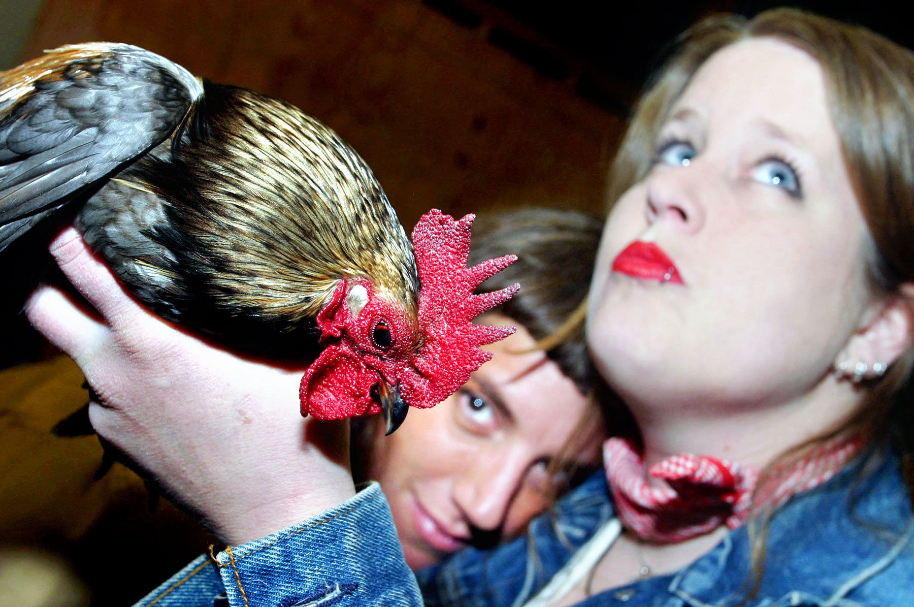 "Death and Taxes" band promo: Maia Banks and Nikki Price