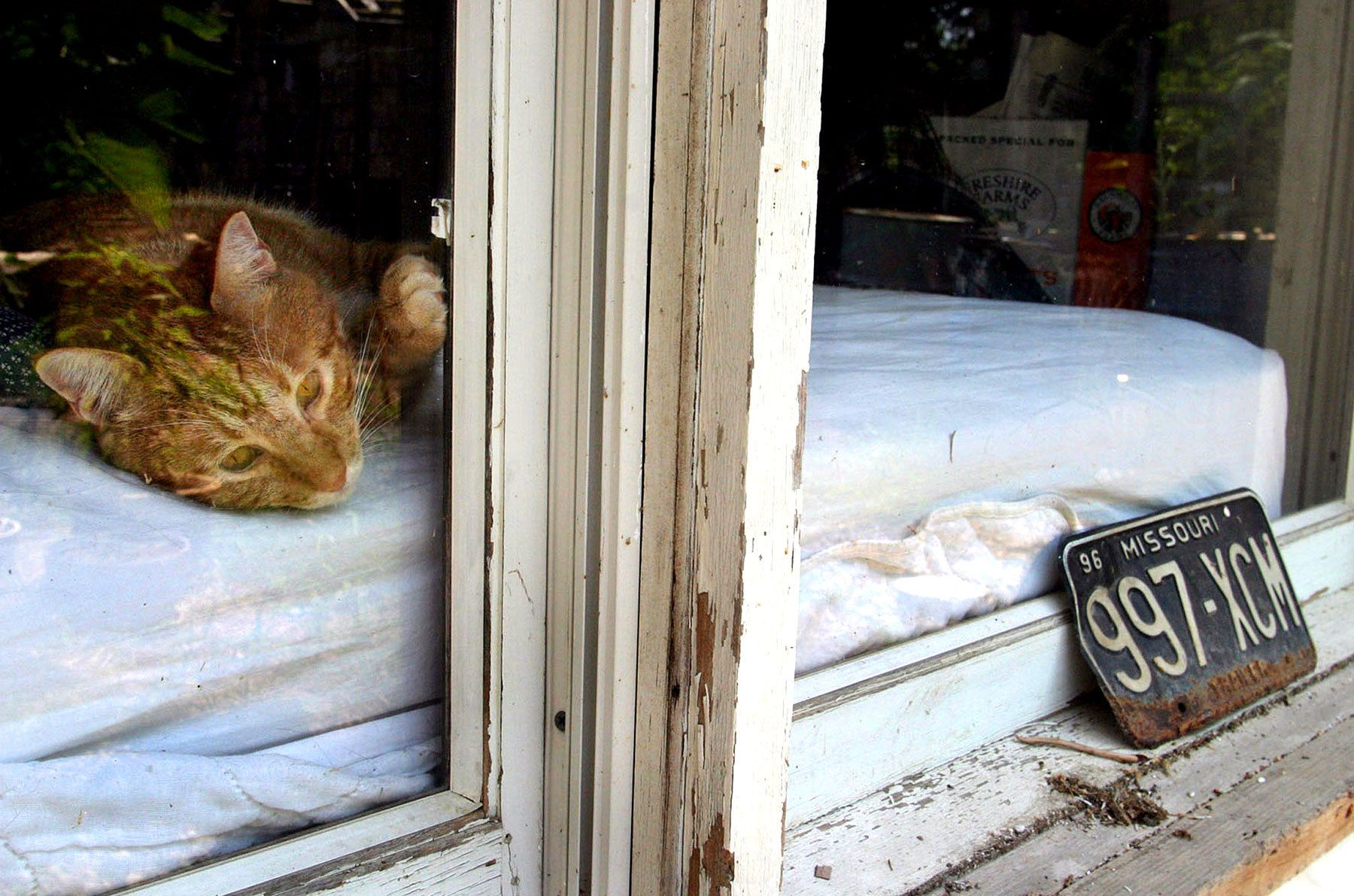 Dancing Rabbit intetional community