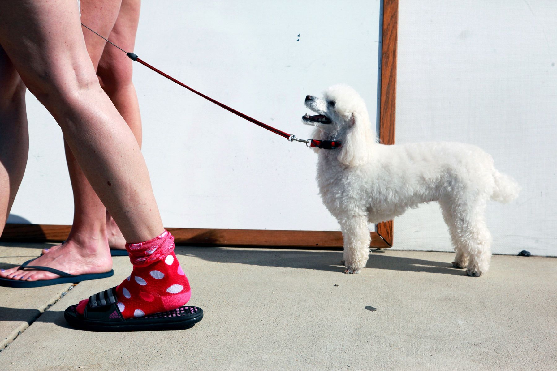 Anacostia Regatta, Washington DC