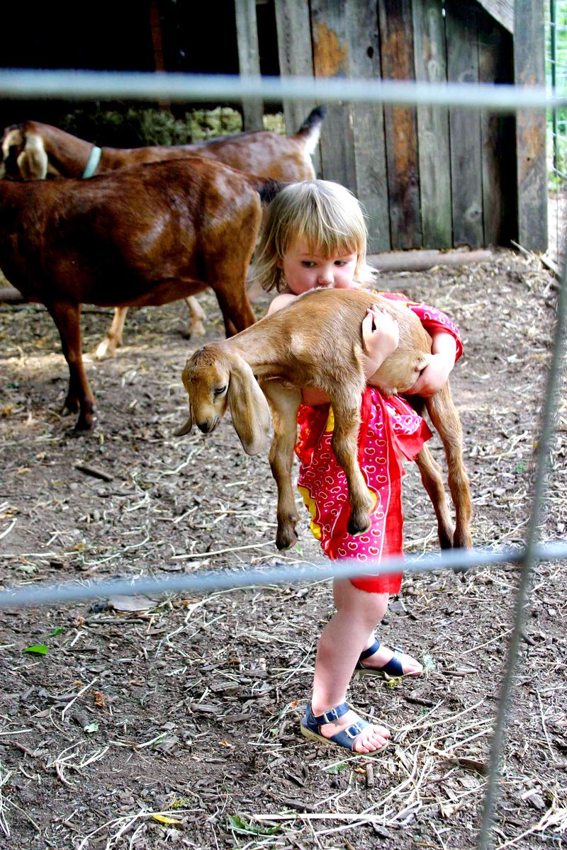 Cedar Moon intentional community