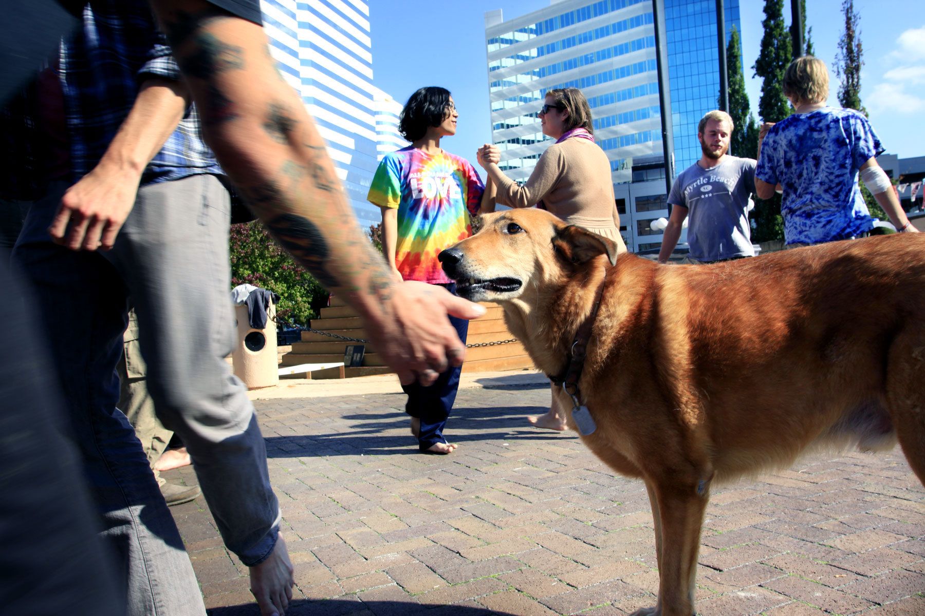 Occupy Protest Richmond VA